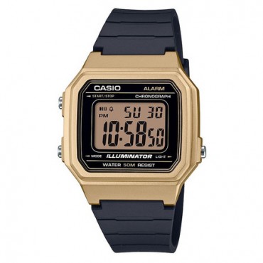 Чоловічий годинник Casio W-217HM-9A